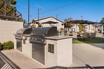 Gas barbecue grills and dedicated picnic areas